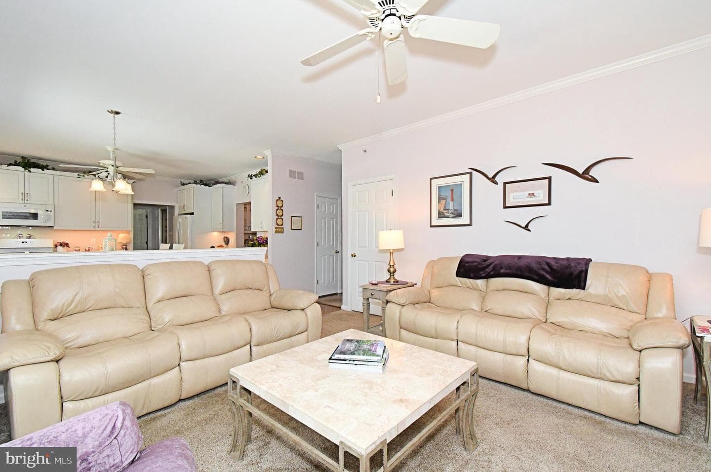 404 English Ivy Drive photo 29