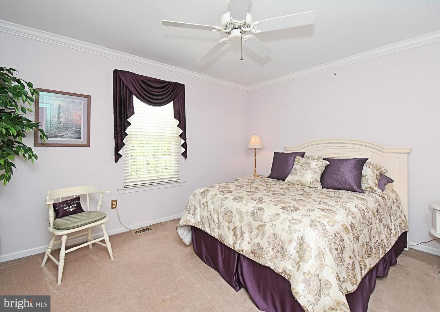 404 English Ivy Drive photo 50