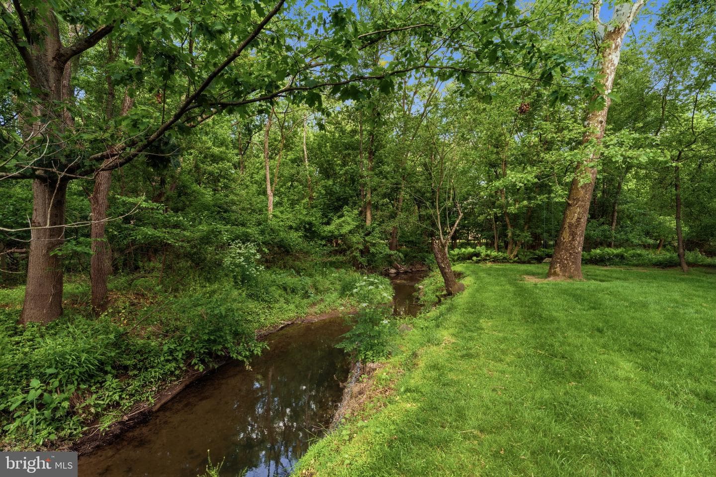 131 Fern Road photo 47