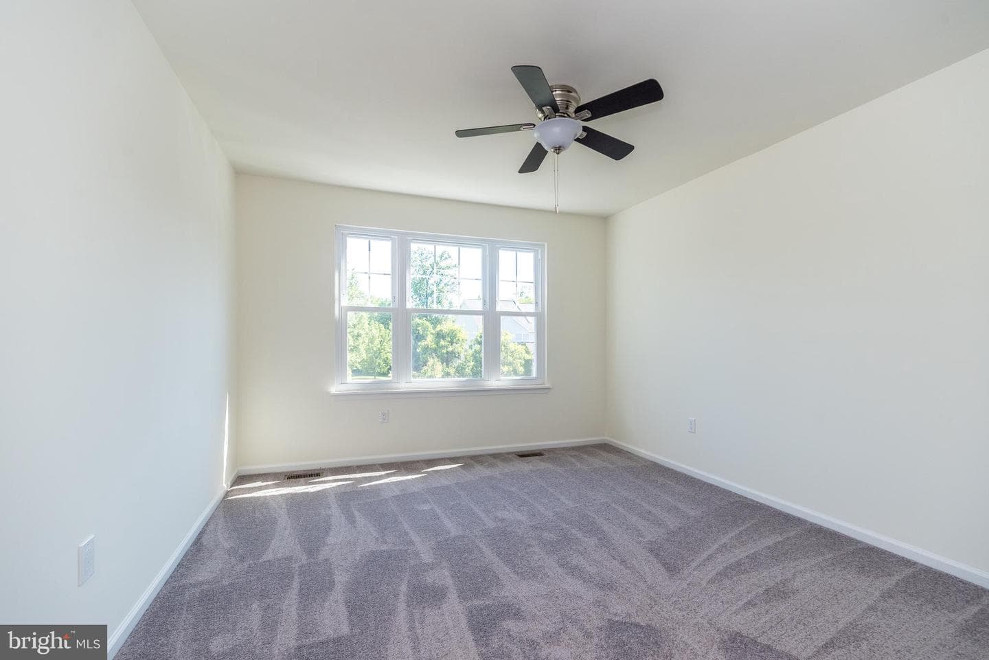 118 Galway Circle photo 29