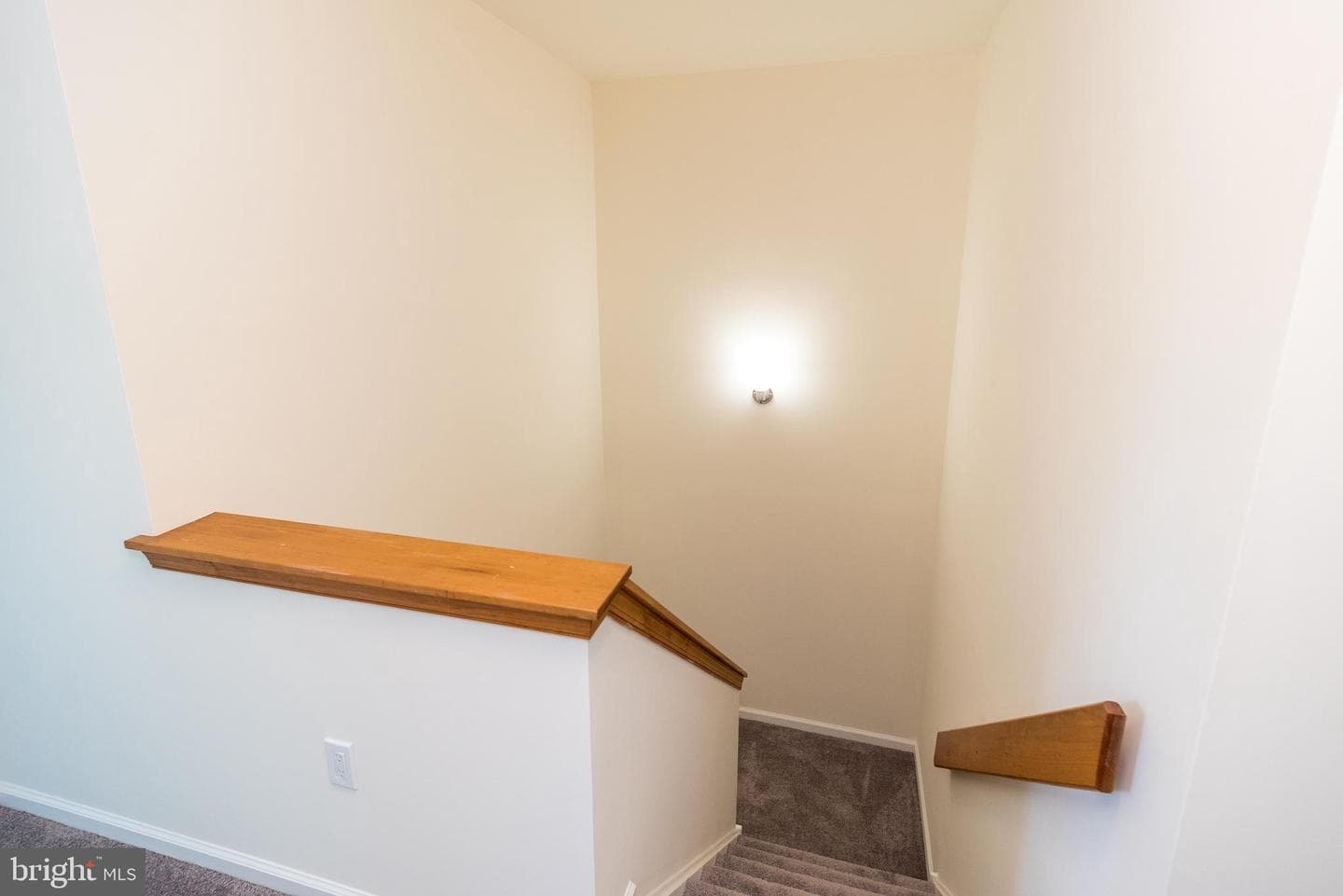 118 Galway Circle photo 38