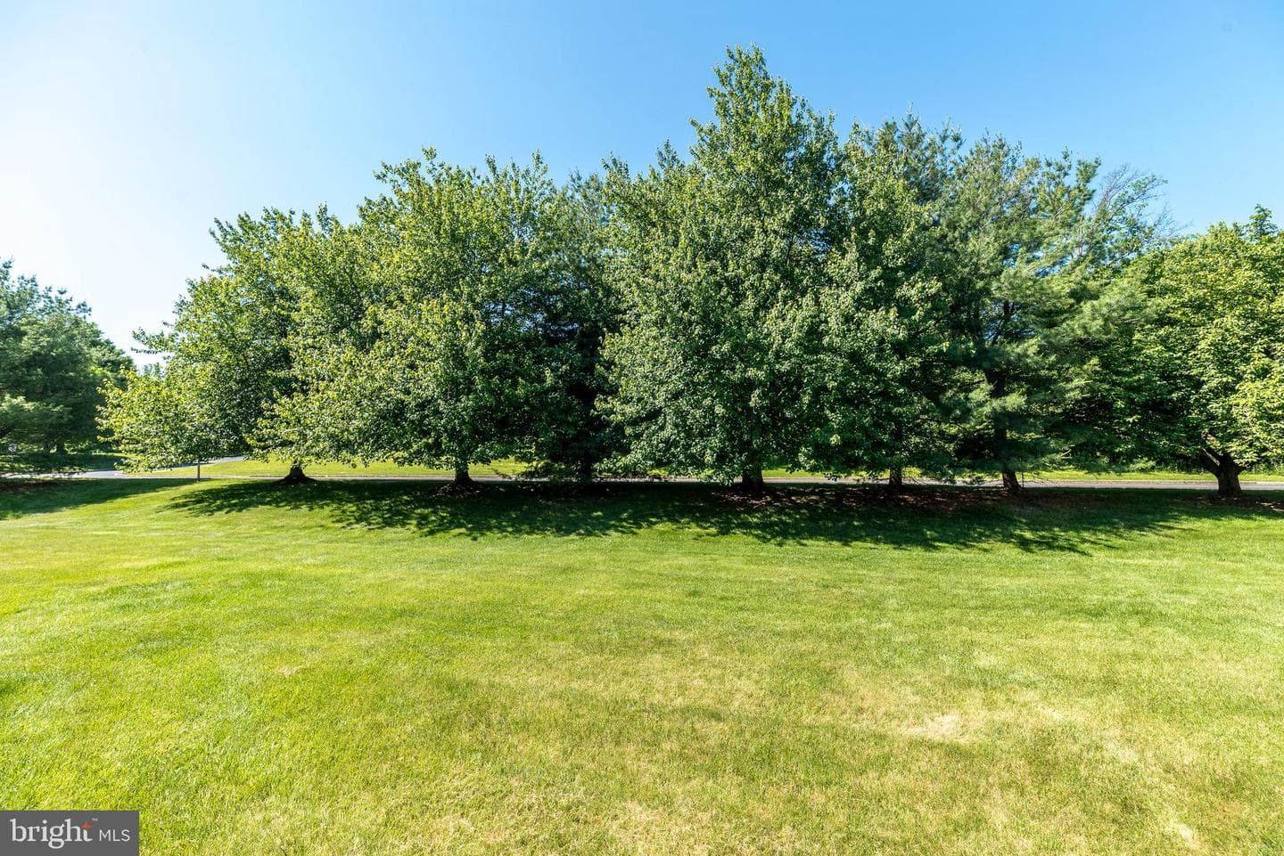 118 Galway Circle photo 50