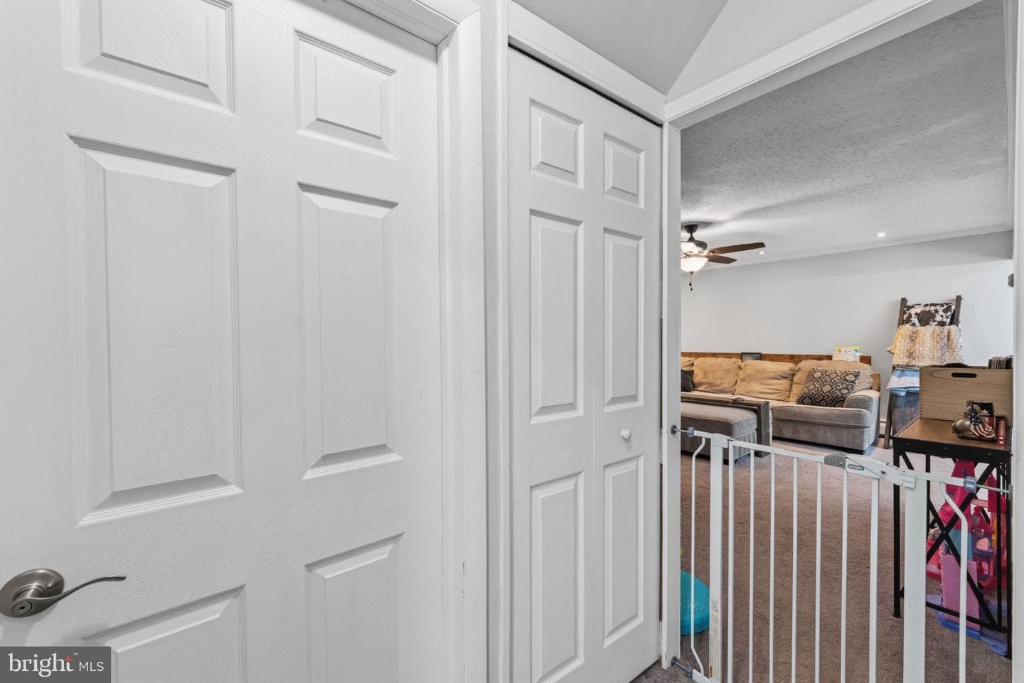 44 Quickset Road photo 22