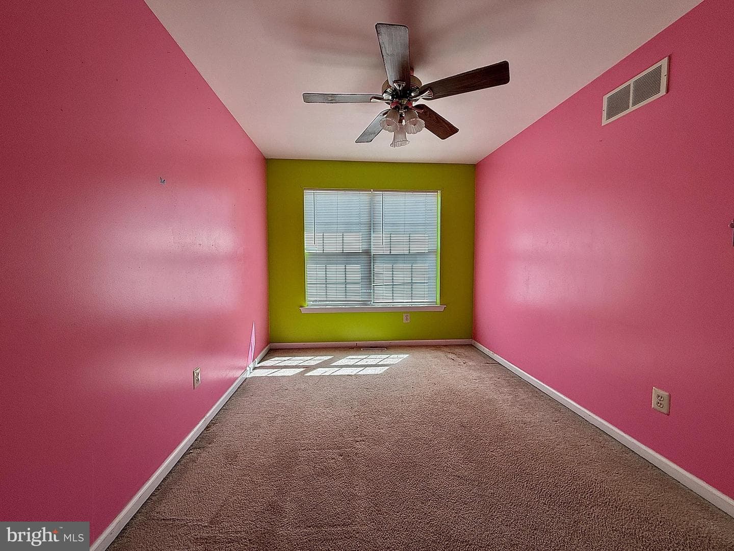 1129 School House Ln photo 15