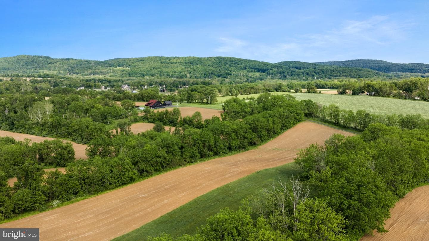 854 Spring Hill Road photo 5