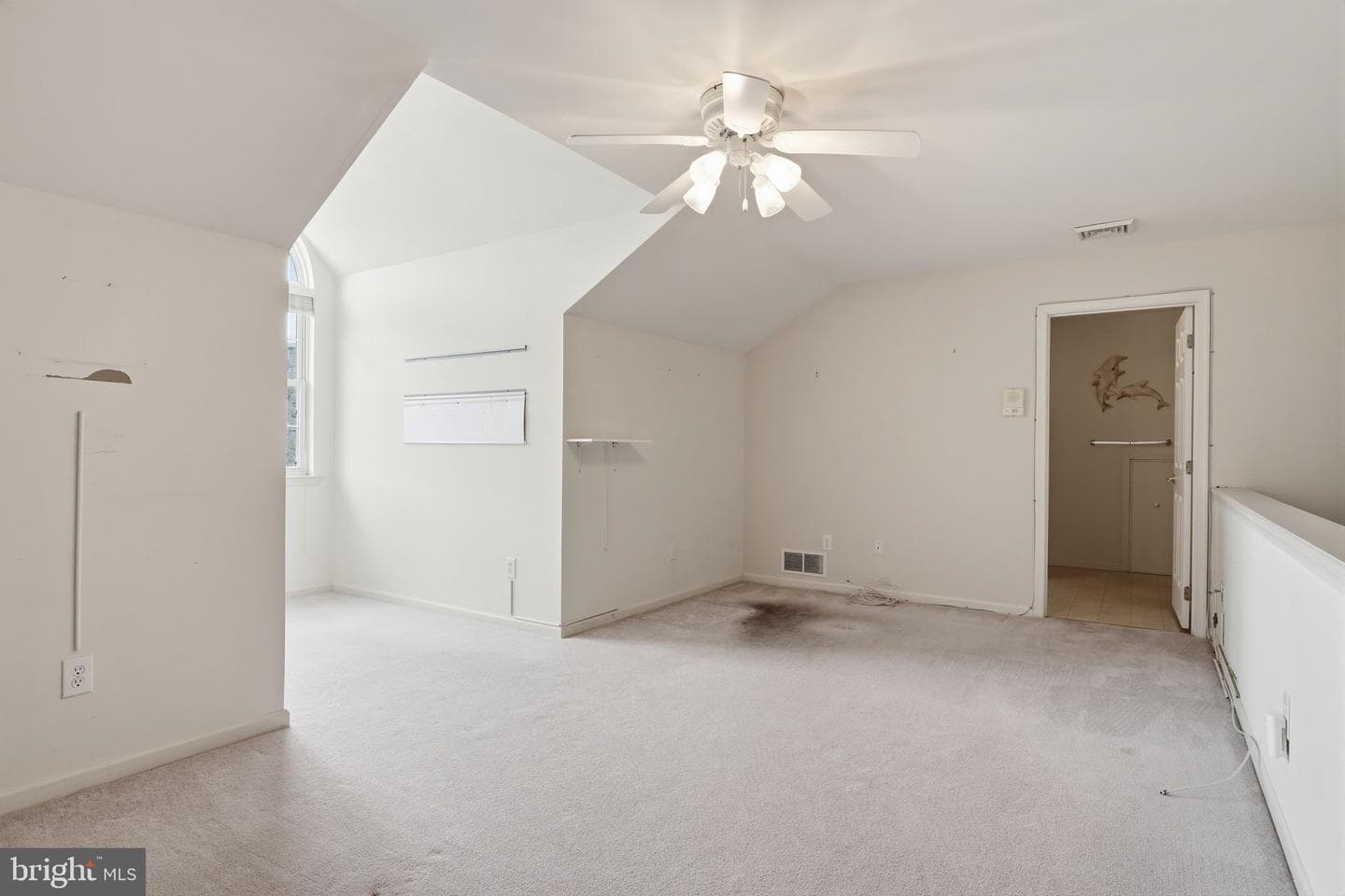 709 Daylily Drive photo 19