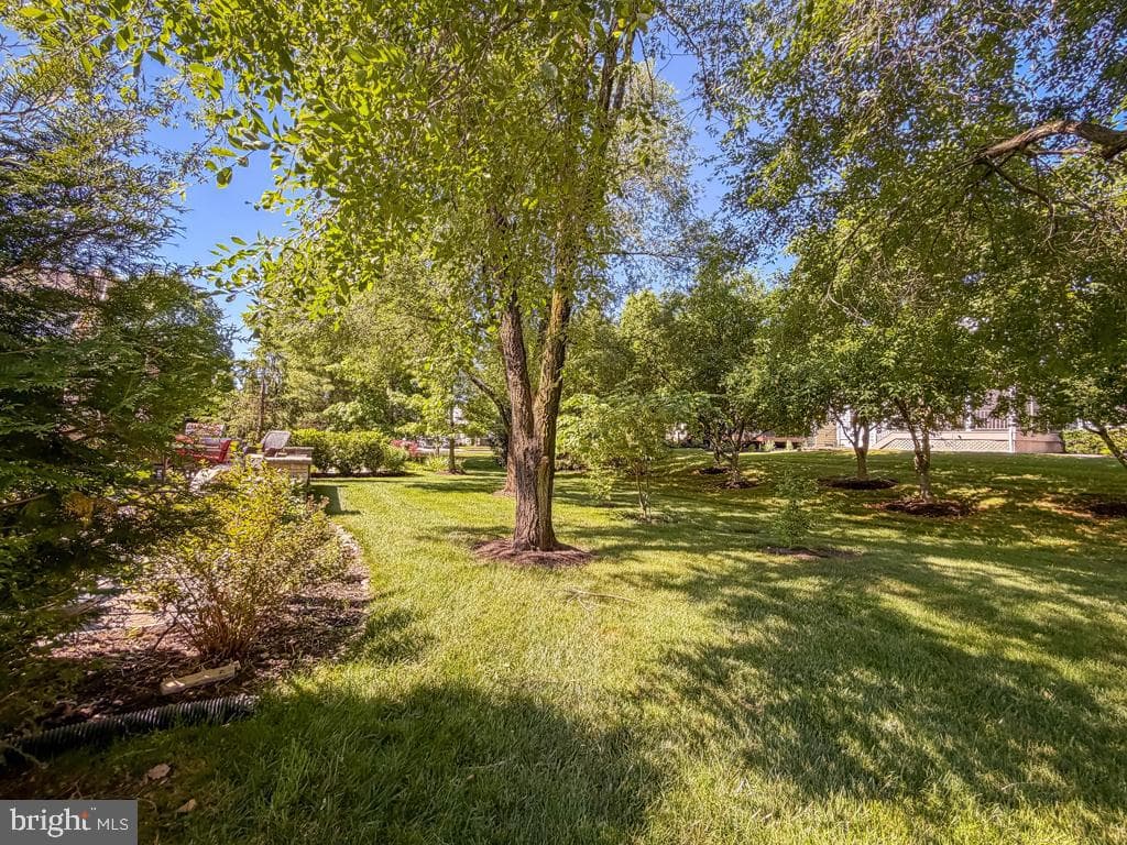 15 Mcconkey Drive photo 78