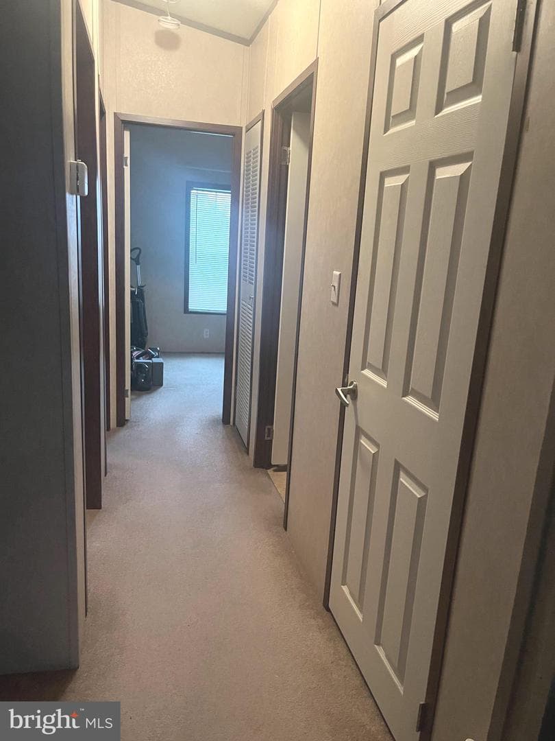 3549 Lilac Avenue #t 3549 photo 5
