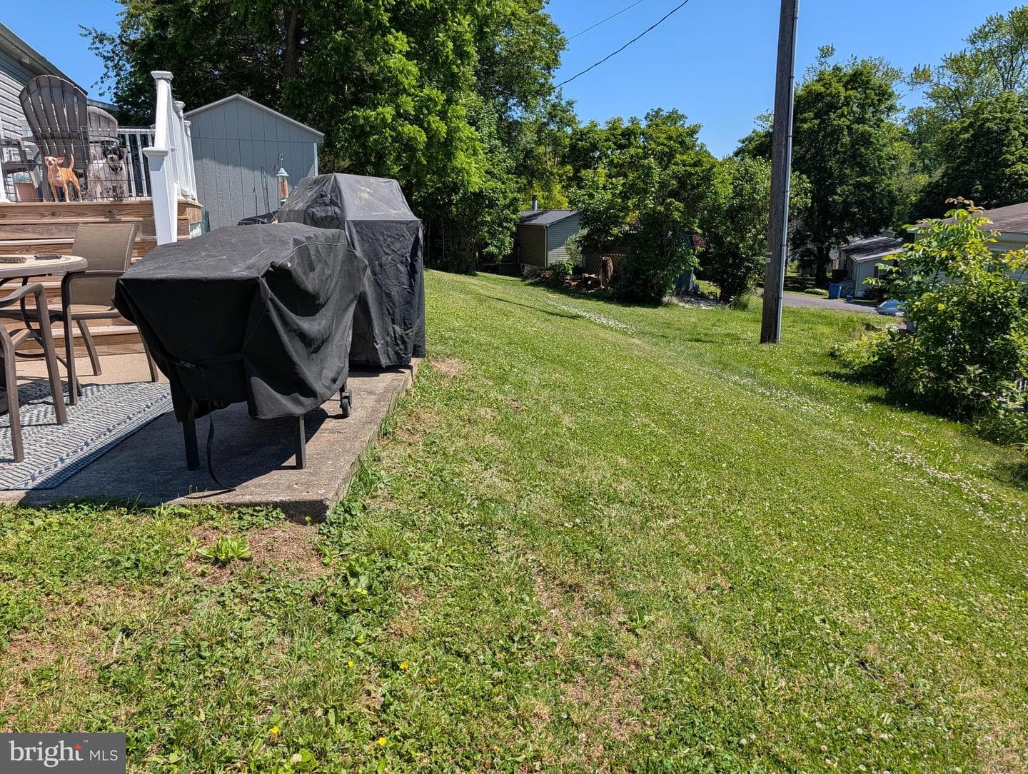 18 Woodedge Drive photo 17