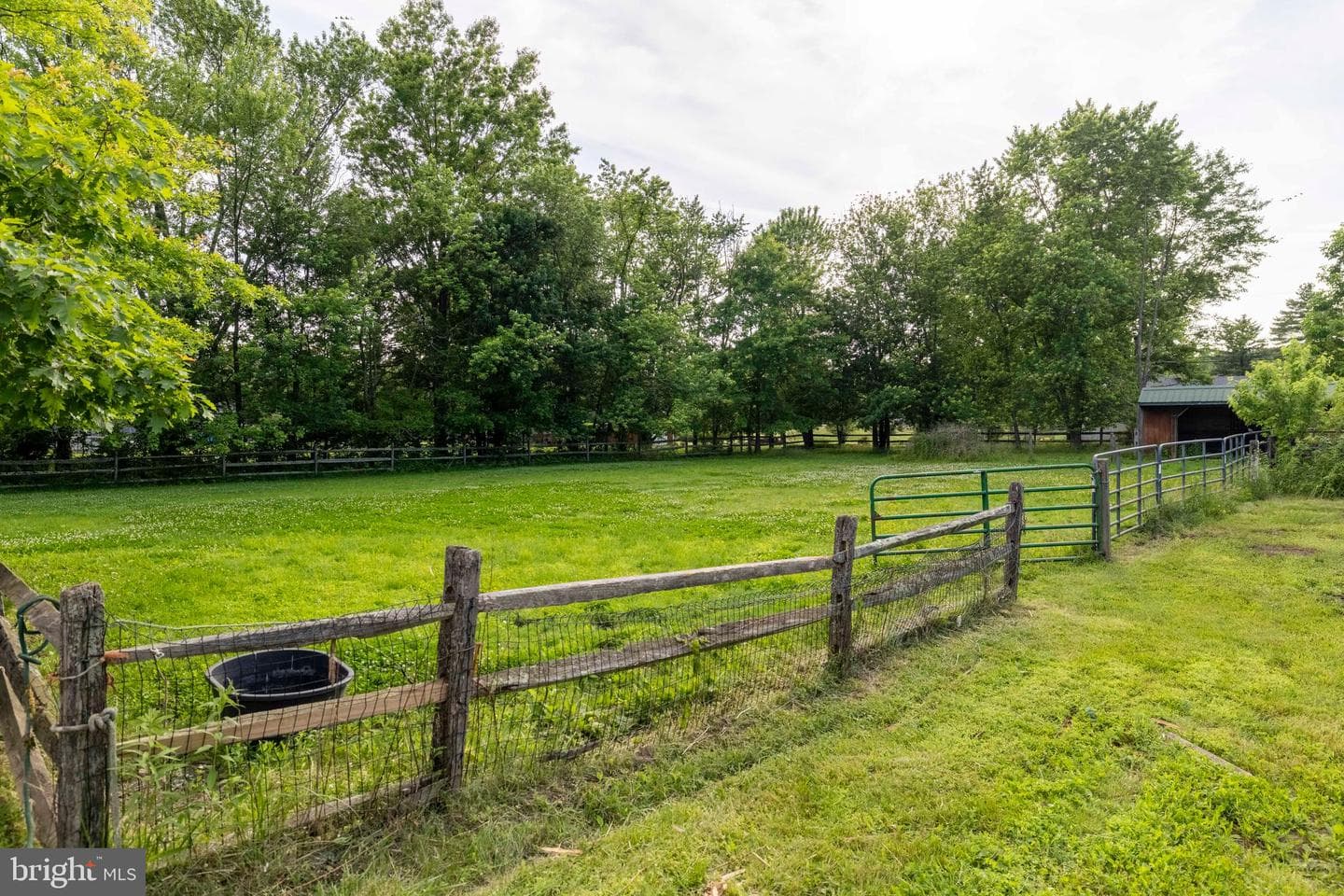 265 Walter Road photo 70
