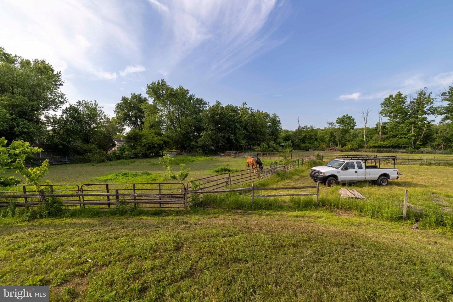 265 Walter Road photo 72