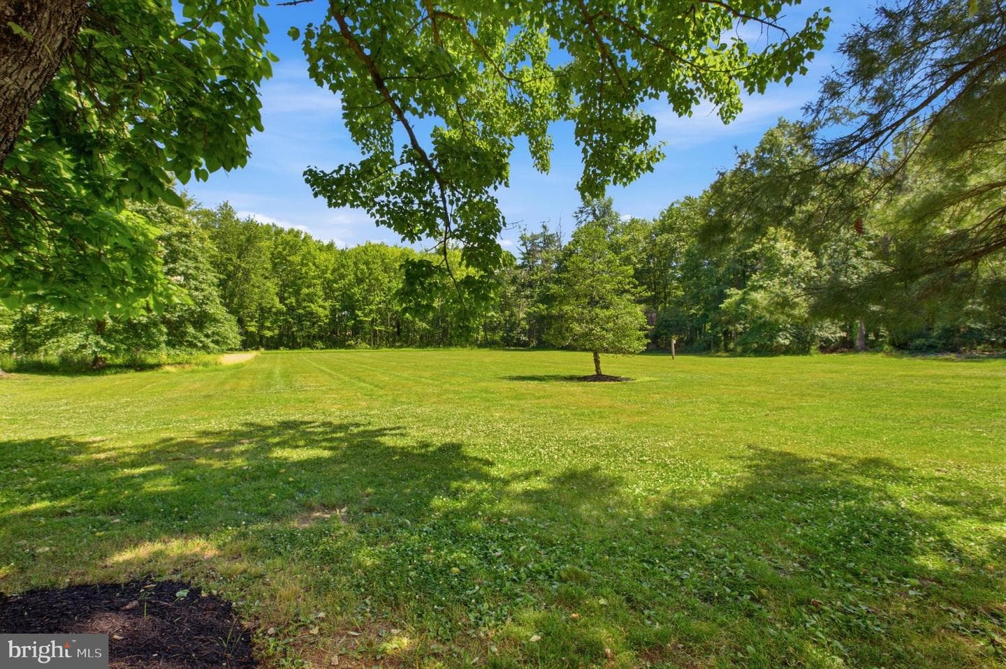 6338 Stump Road photo 46