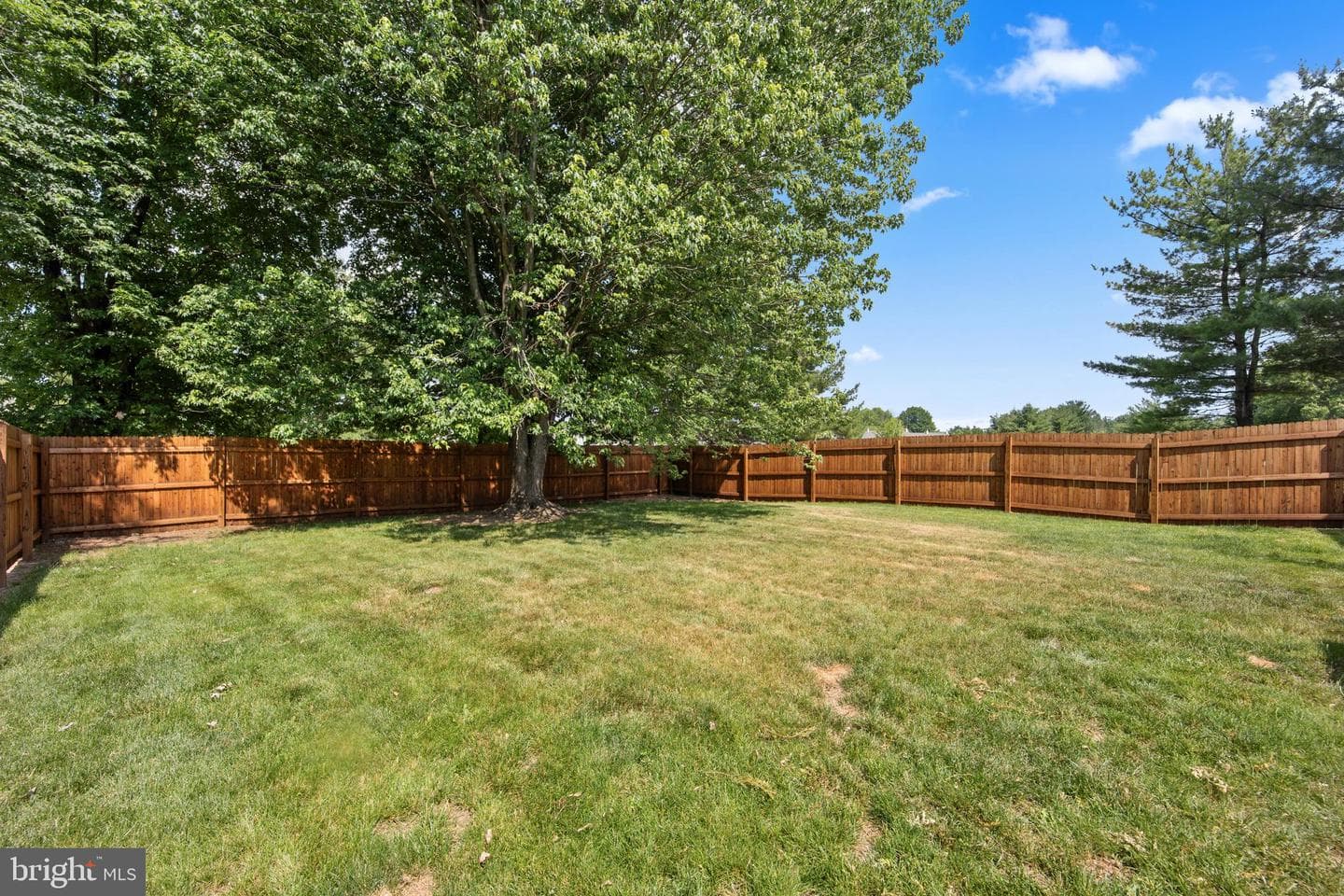 487 Cambridge Lane photo 39