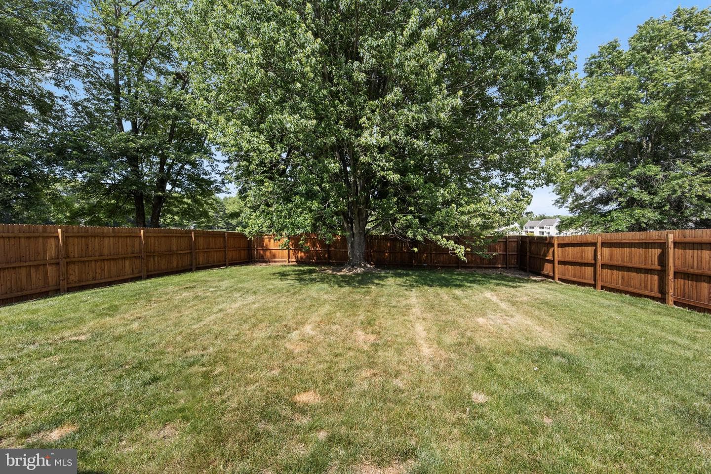 487 Cambridge Lane photo 40