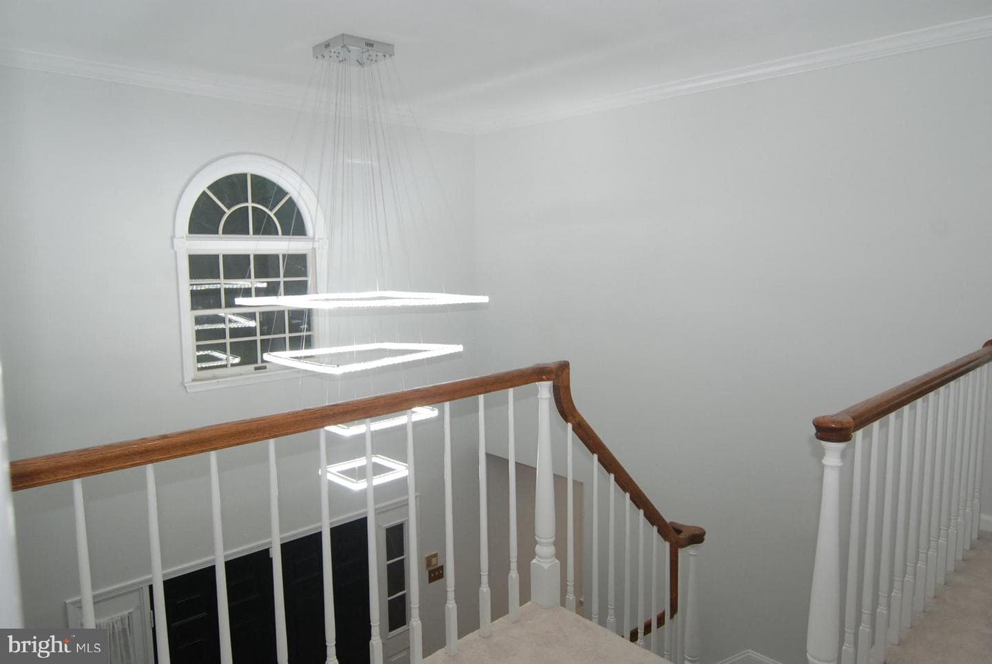 255 Pintail Court photo 58