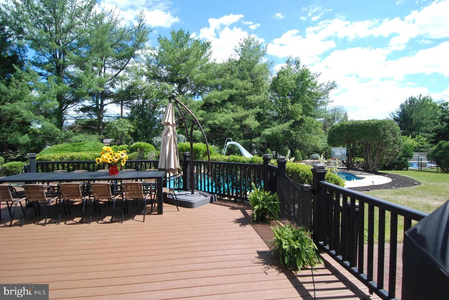 255 Pintail Court photo 79