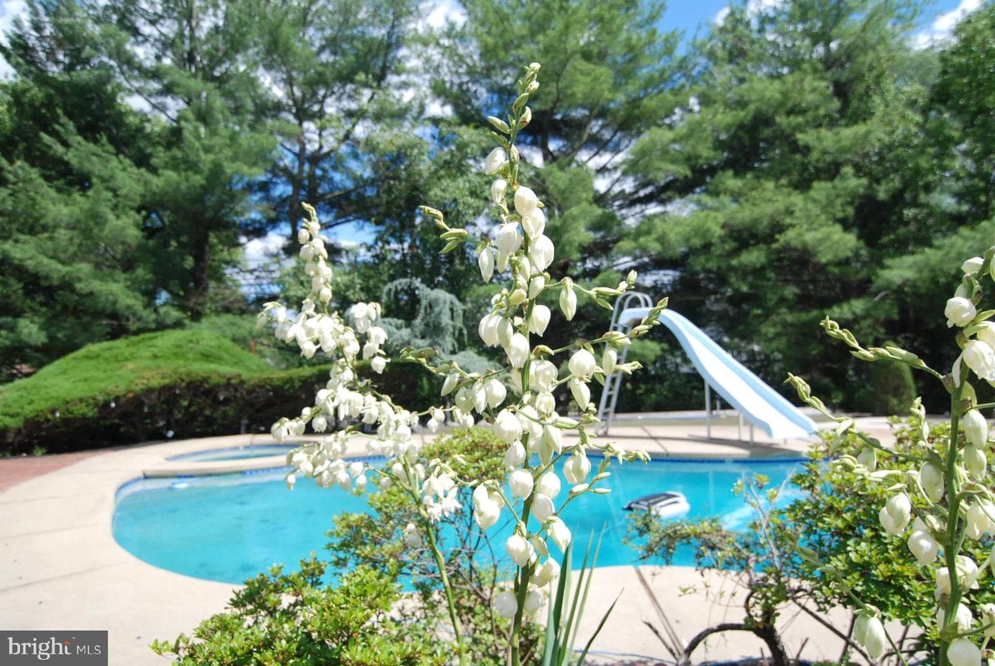 255 Pintail Court photo 85