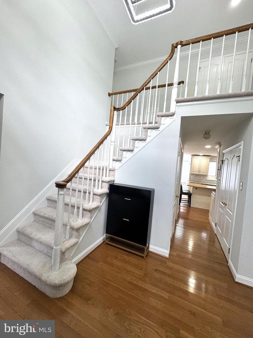 255 Pintail Court photo 9