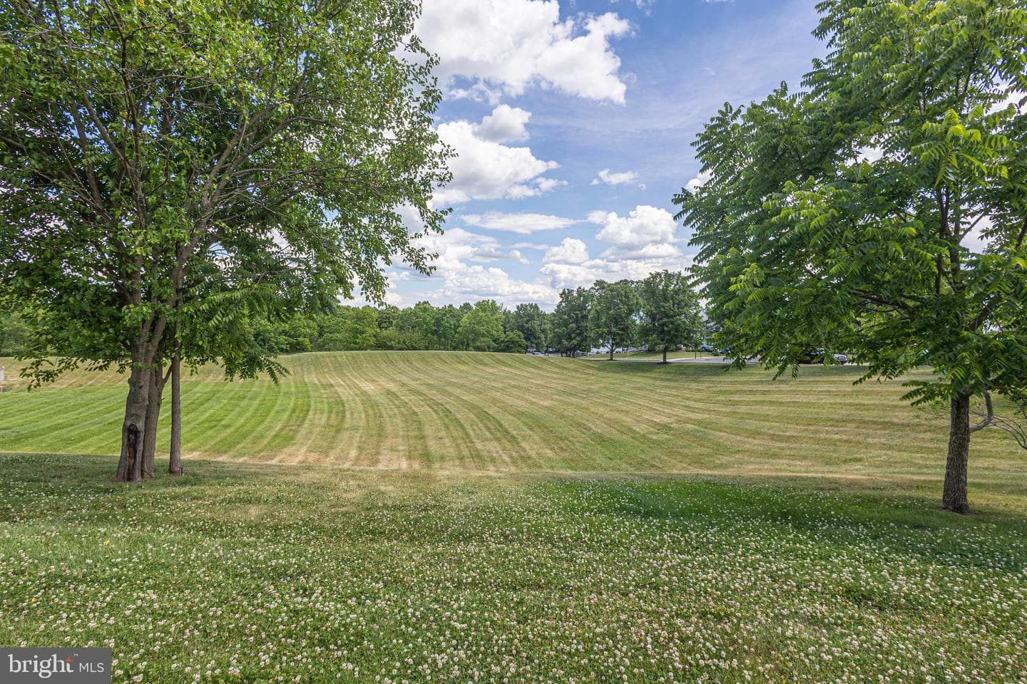 4529 Old Oak Road photo 56