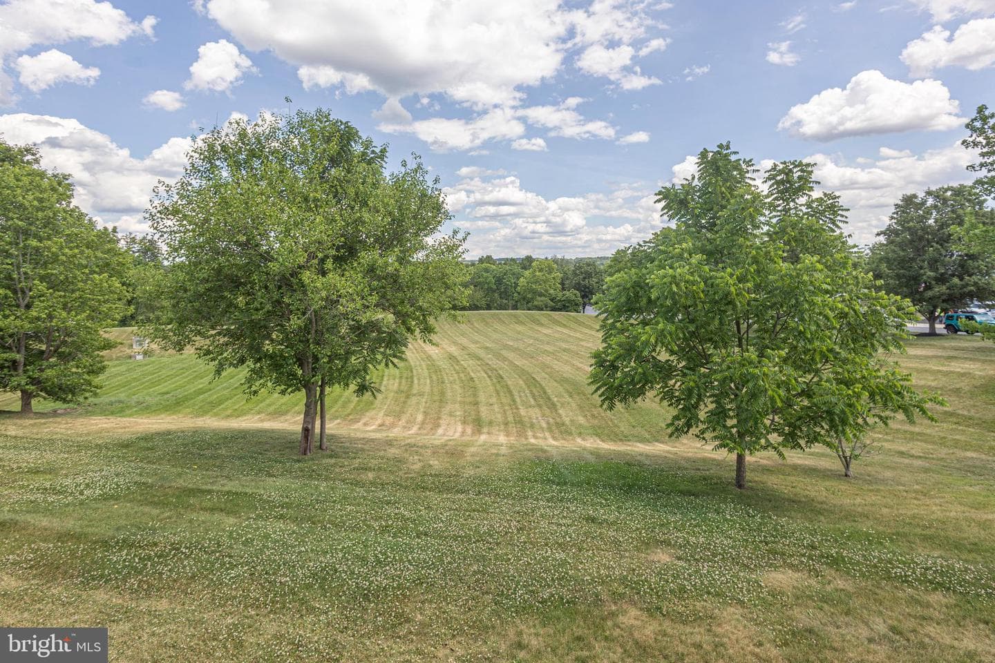 4529 Old Oak Road photo 57