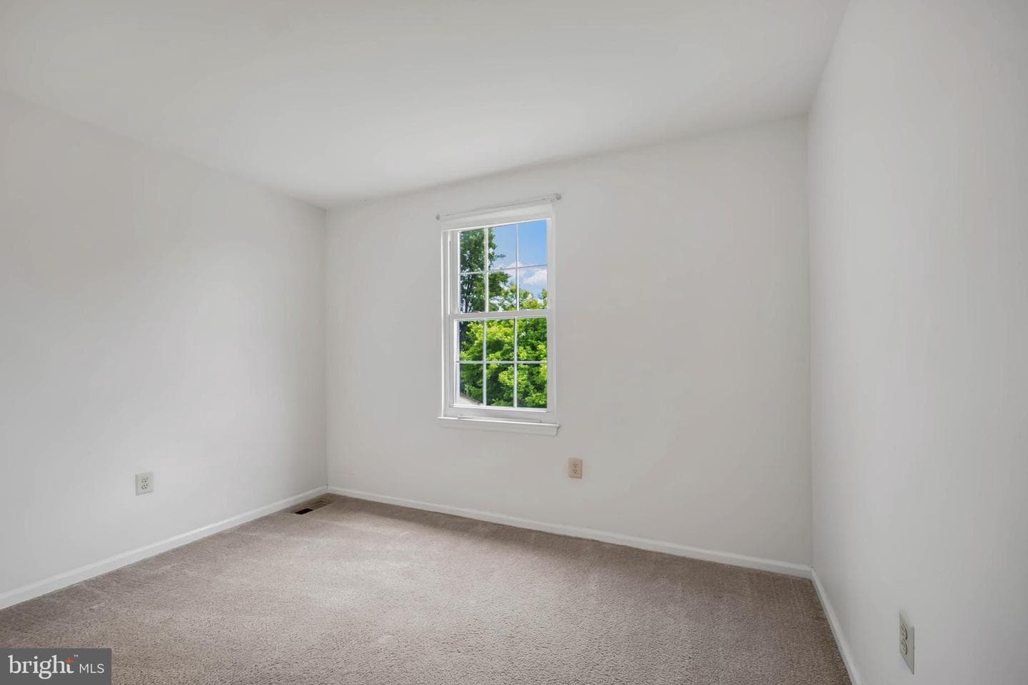 115 Mulberry Drive photo 19
