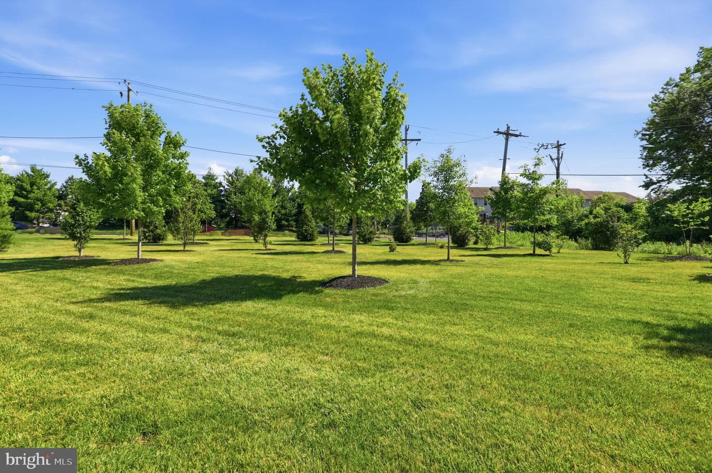 24 Griffin Way photo 31
