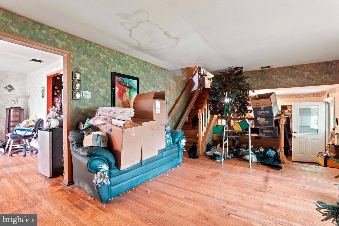 506 Holly Knoll Drive photo 3