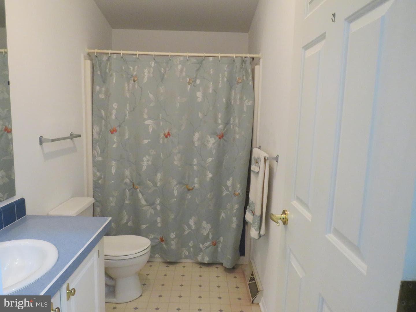 342 Spring Meadow Circle photo 21