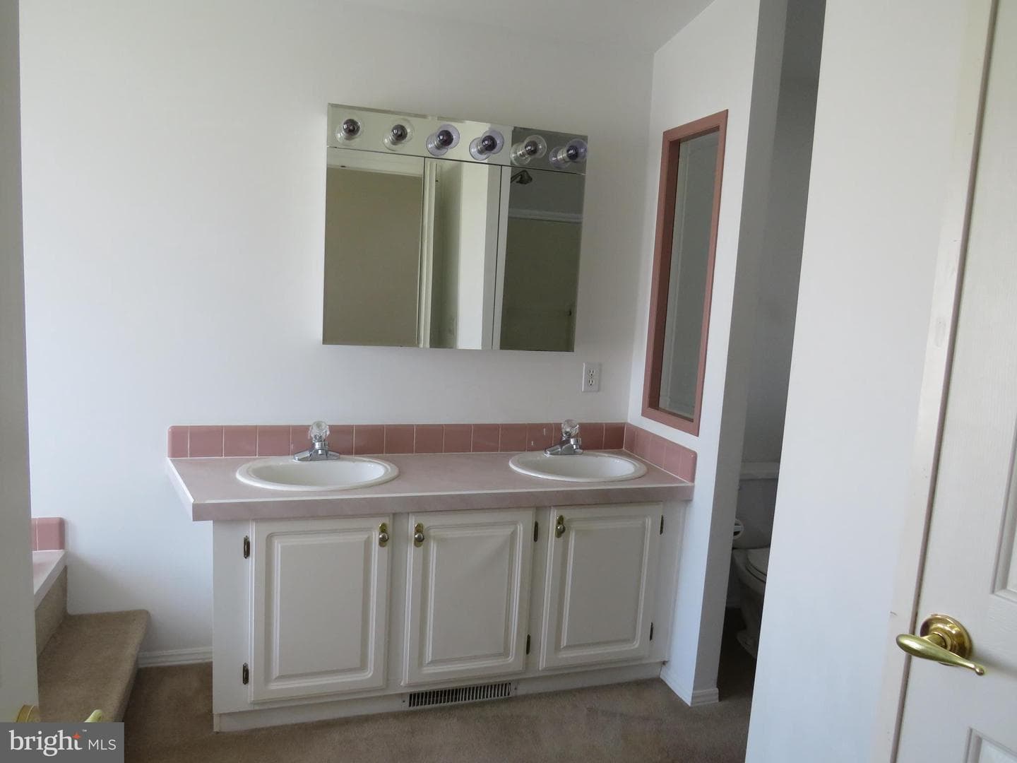 342 Spring Meadow Circle photo 27