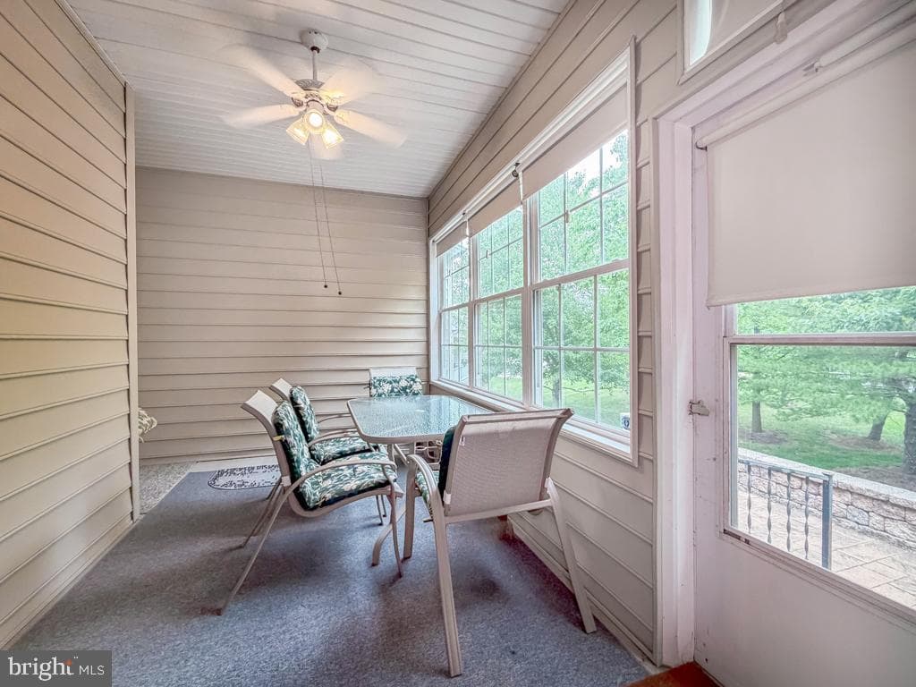 40 Betts Drive photo 21
