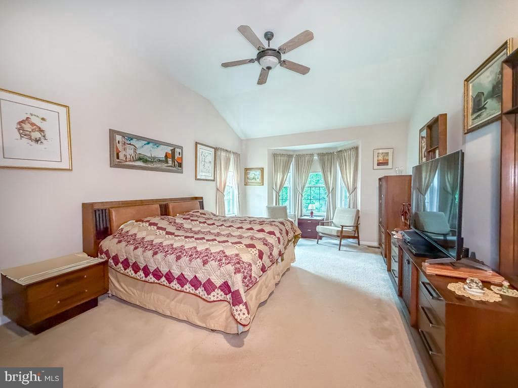 40 Betts Drive photo 25