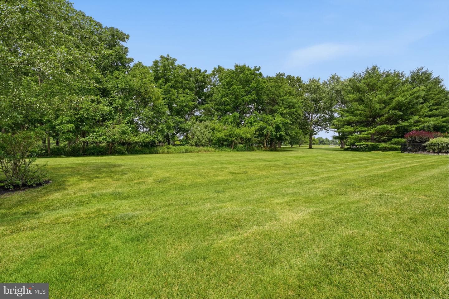 51 Wordsworth Drive photo 72
