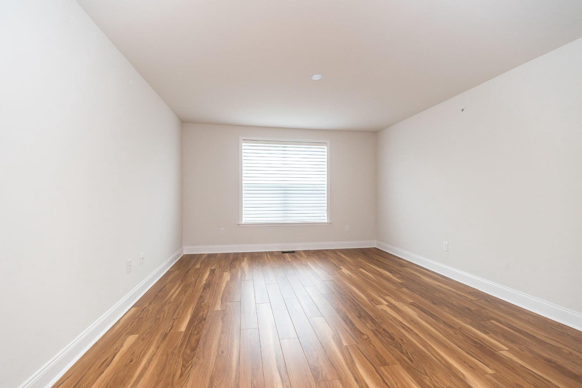 1721 Locust Drive photo 49