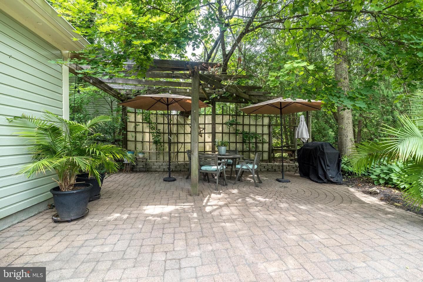 65 Mathews Avenue photo 50