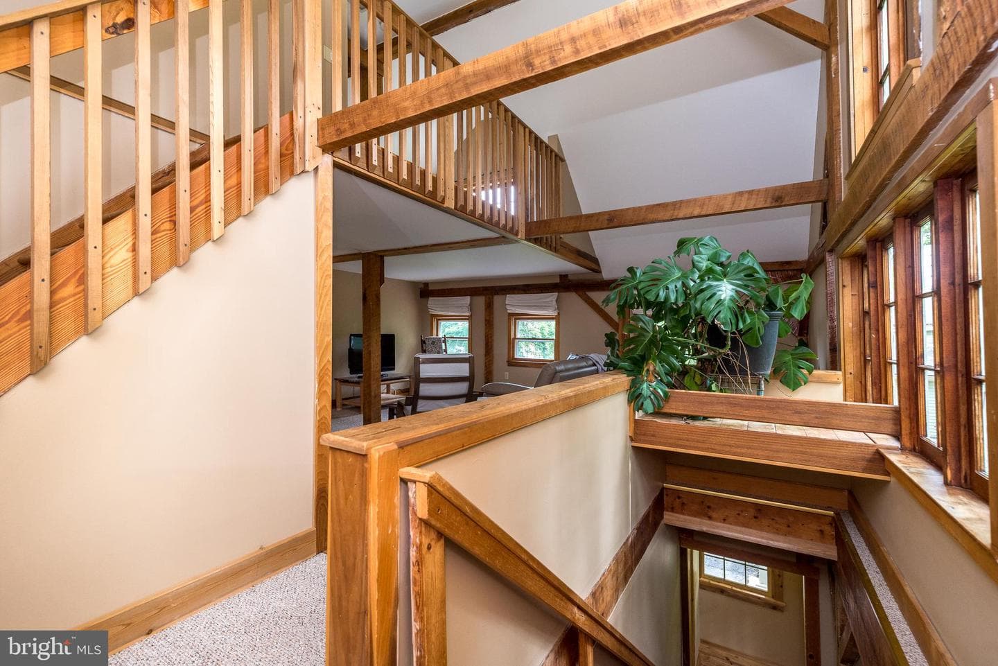 65 Mathews Avenue photo 55
