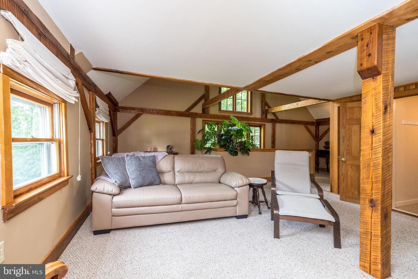 65 Mathews Avenue photo 61