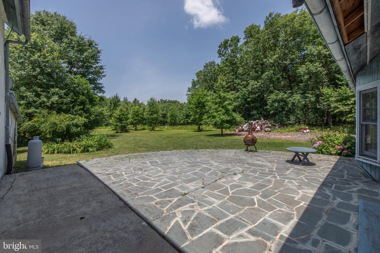 1350 Old Plains Road photo 41