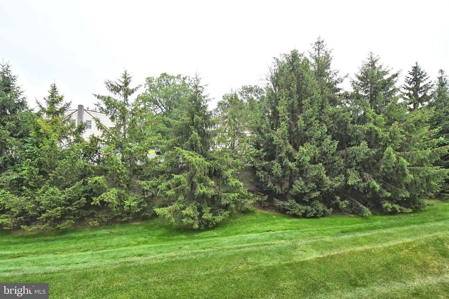 200 Beech Boulevard #202 photo 47
