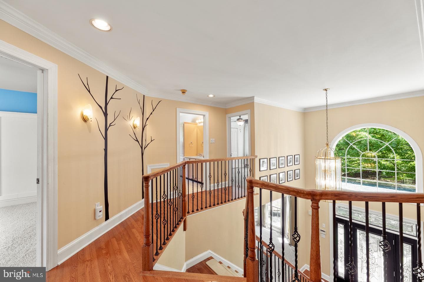 8 Golfview Drive photo 46