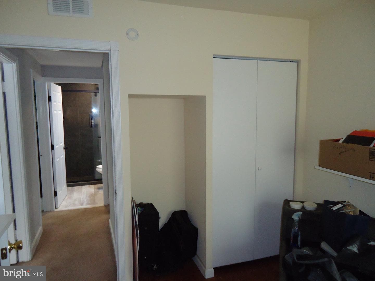 172 Crabtree Drive photo 21