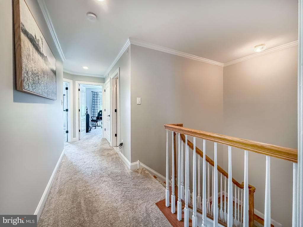 2410 Rosemont Terrace photo 39