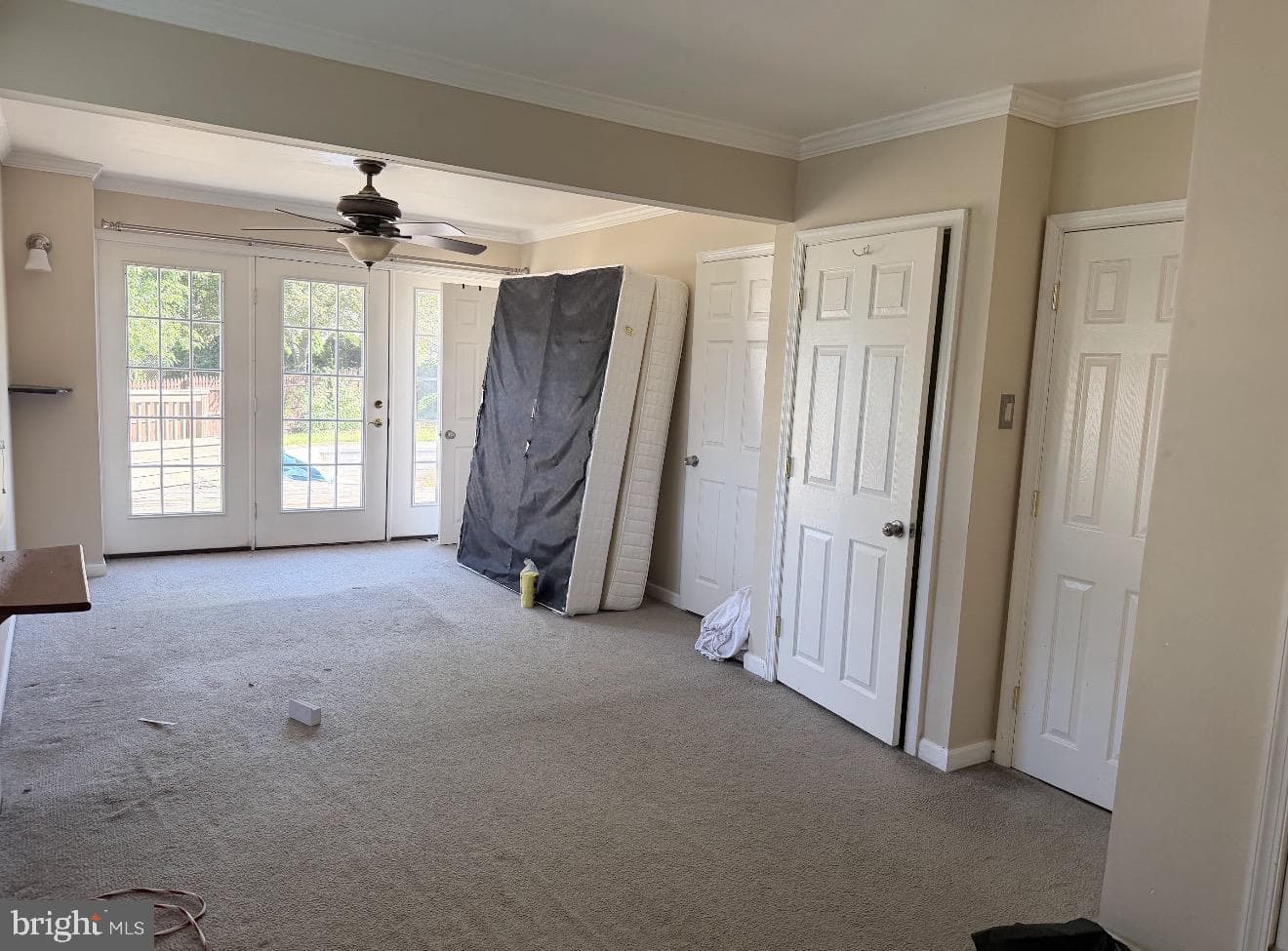 213 Luff Lane photo 9