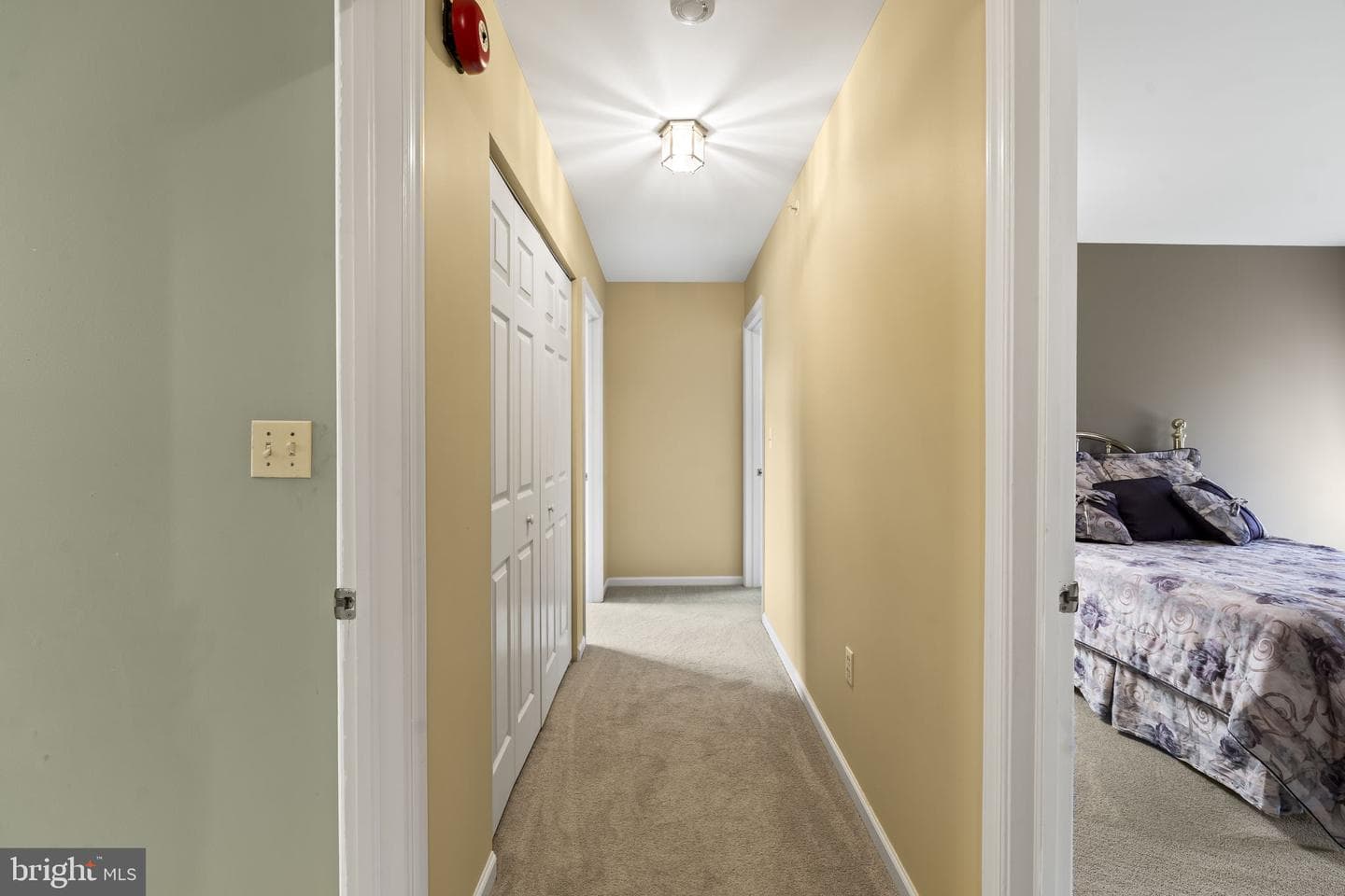 113 Greenfield Lane photo 24