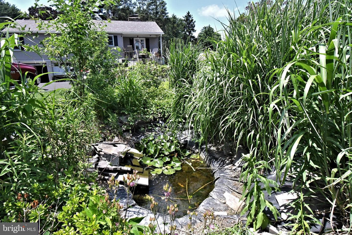 551 Walter Road photo 39
