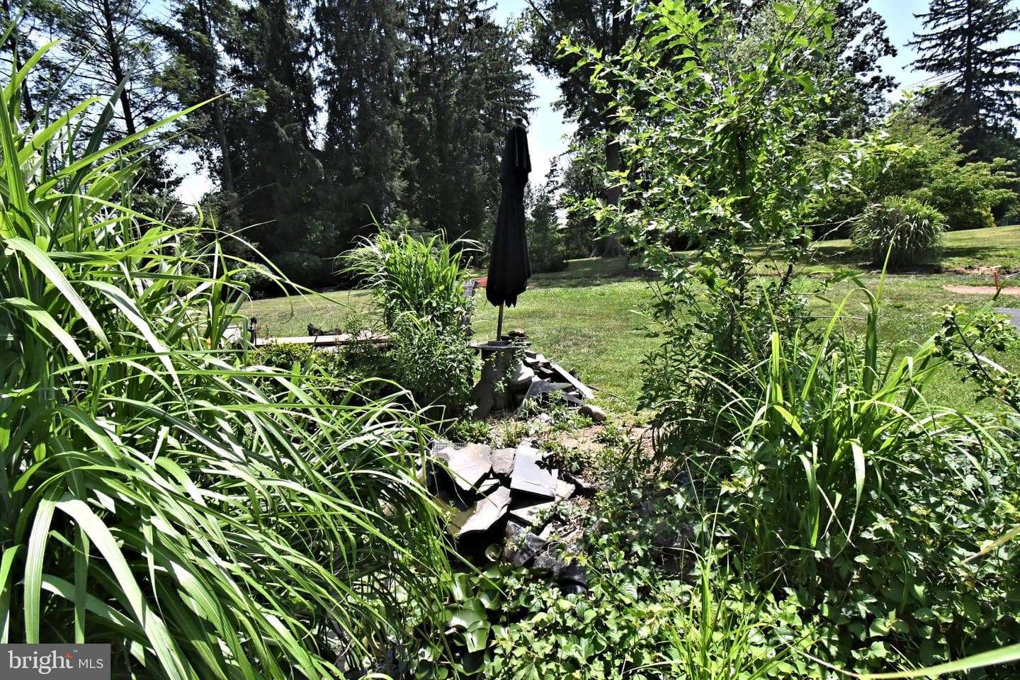551 Walter Road photo 45