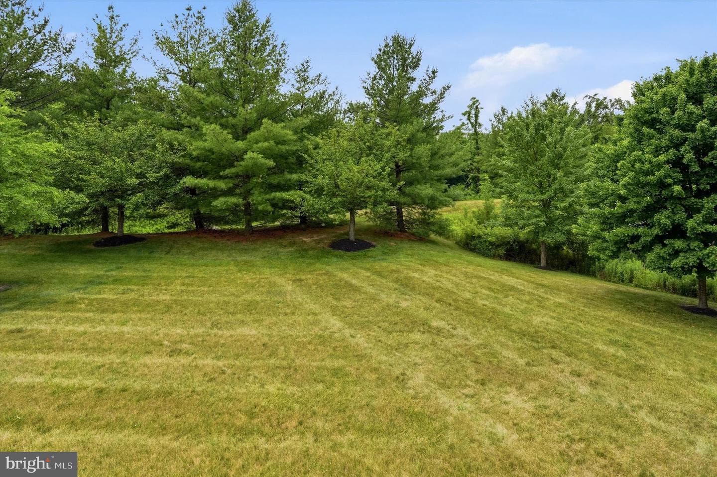 3268 Waterstone Court #185 photo 23