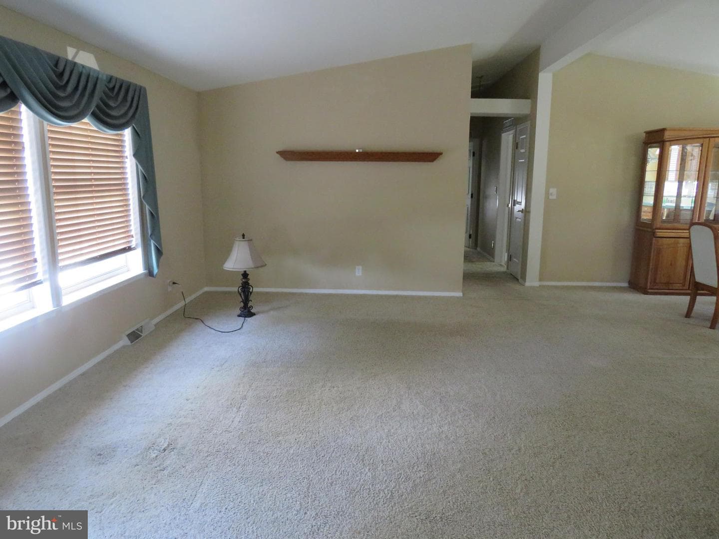 638 Spicebush Court photo 12