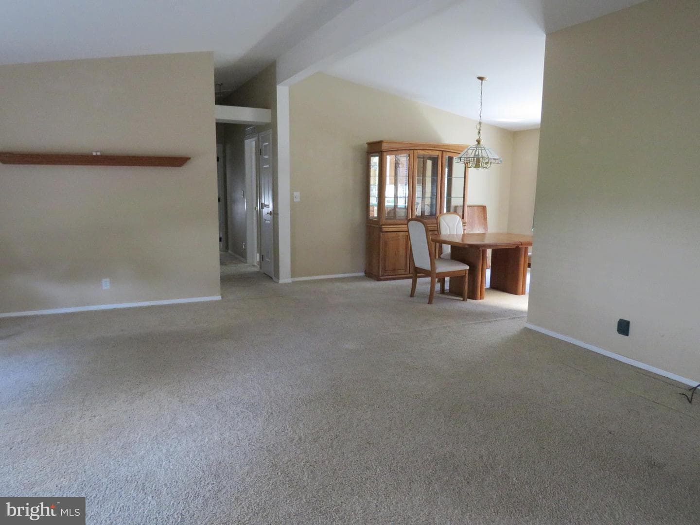 638 Spicebush Court photo 16