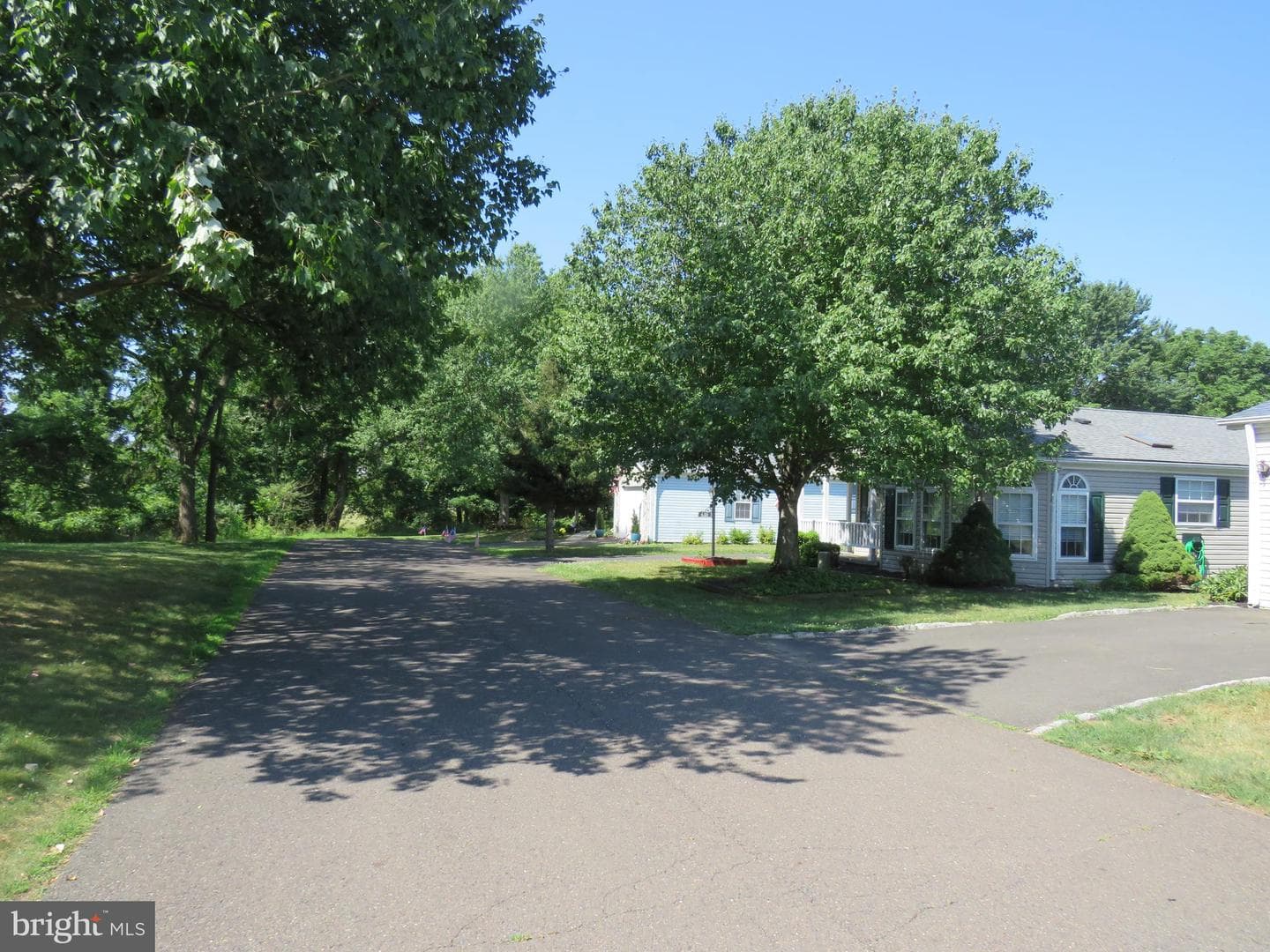 638 Spicebush Court photo 3