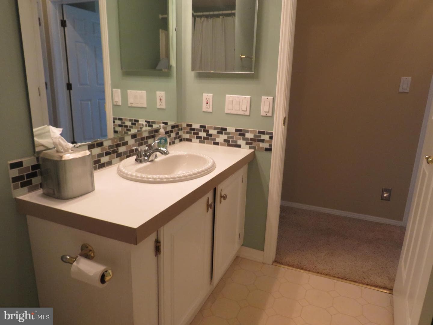 638 Spicebush Court photo 31